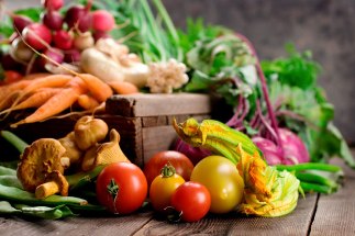صنایع غذایی