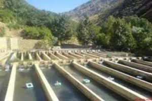 استخرهای ماهی سرای کرج